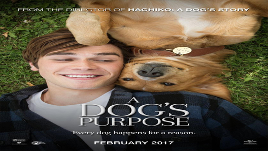 فيلم A Dogs Purpose 2017 مترجم