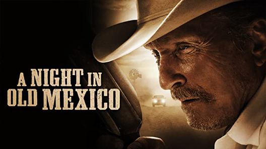 فيلم A Night In Old Mexico 2013 مترجم