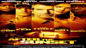 فيلم After The Sunset 2004 مترجم