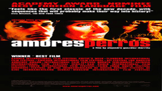 فيلم Amores Perros  2000 مترجم