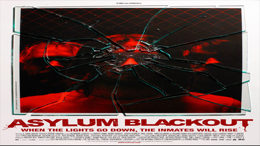 فيلم Asylum Blackout 2011 مترجم