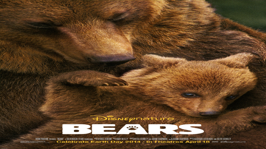فيلم Bears 2014 مترجم