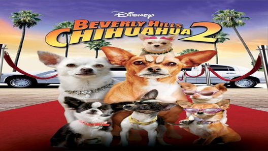 فيلم Beverly Hills Chihuahua 2 2011 مترجم
