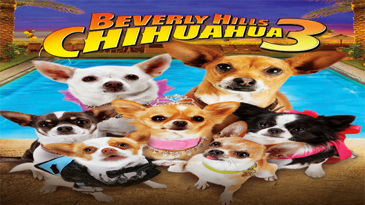 فيلم Beverly Hills Chihuahua 3 Viva La Fiesta 2012 مترجم