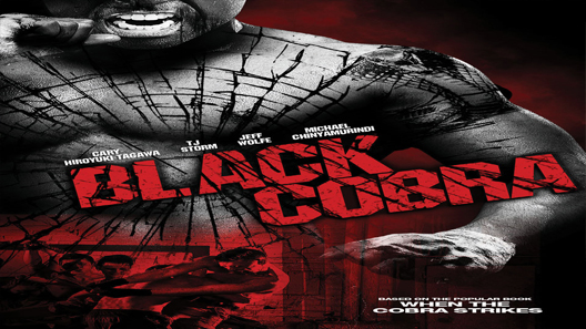 فيلم Black Cobra 2012 مترجم