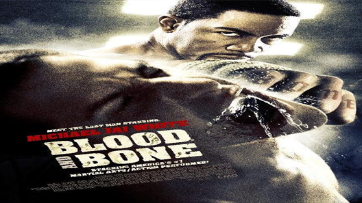 فيلم Blood And Bone 2009 مترجم