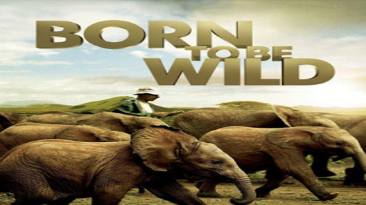 فيلم Born To Be Wild 2011 مترجم
