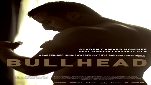 فيلم Bullhead 2011 مترجم