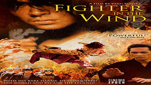 فيلم Fighter In The Wind 2004 مترجم
