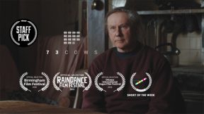 فيلم 73 Cows 2018 مترجم
