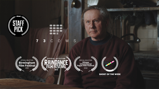 فيلم 73 Cows 2018 مترجم