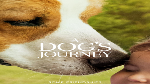 فيلم A Dogs Journey 2019 مترجم