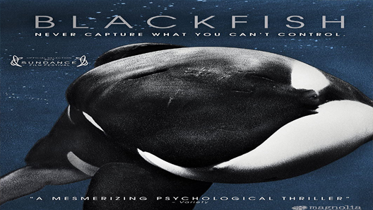 فيلم Blackfish 2013 مترجم
