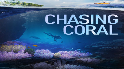 فيلم Chasing Coral 2017 مترجم