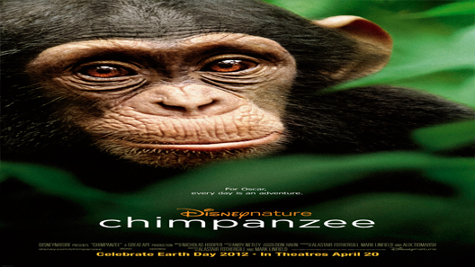 فيلم Chimpanzee 2012 مترجم