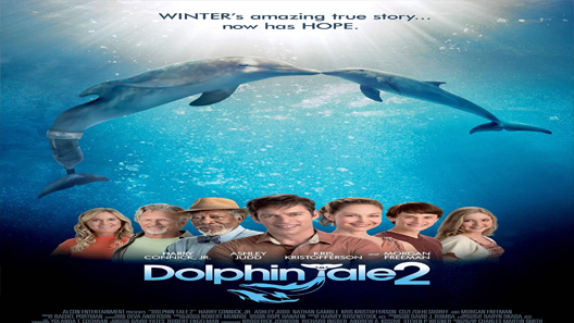 فيلم Dolphin Tale 2 2014 مترجم