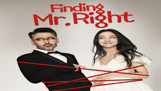 فيلم Finding Mr Right 2013 مترجم
