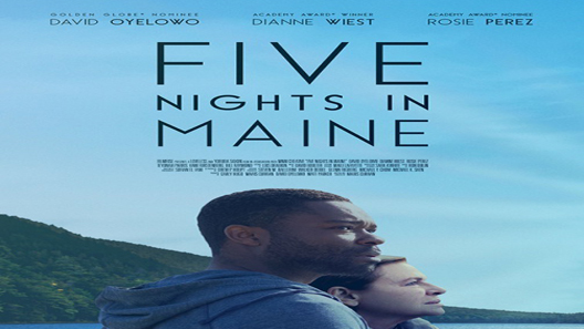 فيلم Five Nights In Maine 2015 مترجم