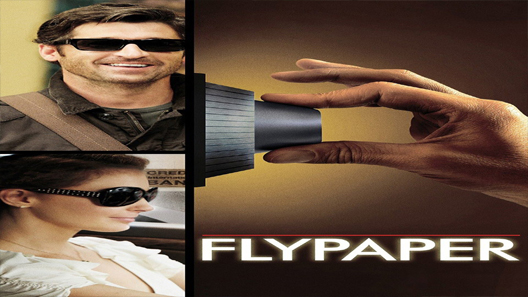 فيلم Flypaper 2011 مترجم