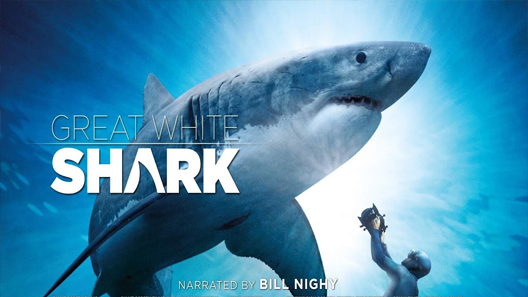 فيلم Great White Shark 2013 مترجم