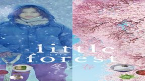 فيلم Little Forest Winter Spring 2015 مترجم