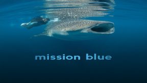 فيلم Mission Blue 2014 مترجم