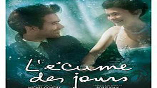 فيلم Mood Indigo 2013 مترجم