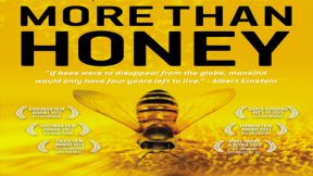 فيلم More Than Honey 2012 مترجم