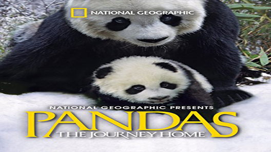 فيلم Pandas The Journey Home 2014 مترجم