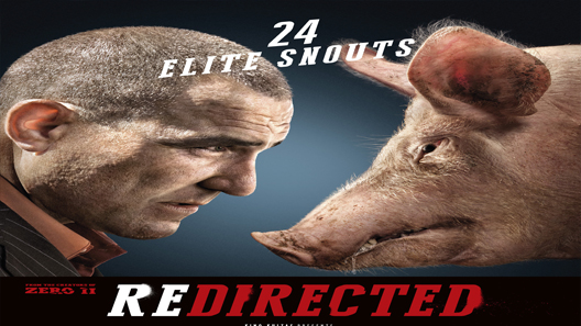 فيلم Redirected 2014 مترجم