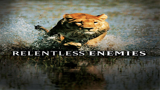 فيلم Relentless Enemies 2006 مترجم