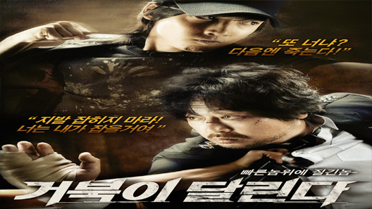 فيلم Running Turtle 2009 مترجم