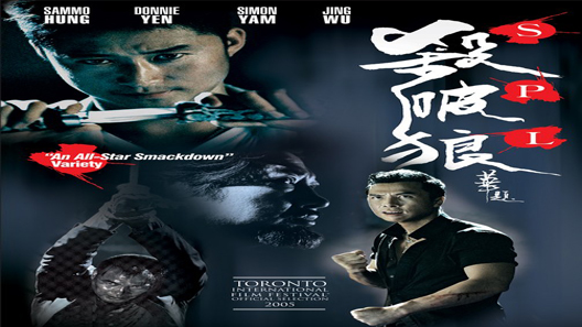 فيلم SPL Kill Zone 2005 مترجم