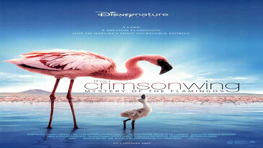 فيلم The Crimson Wing Mystery Of The Flamingos 2008 مترجم