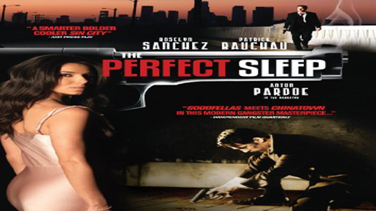 فيلم The Perfect Sleep 2009 مترجم