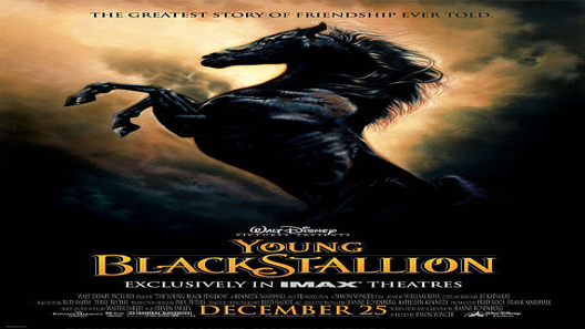 فيلم The Young Black Stallion 2003 مترجم