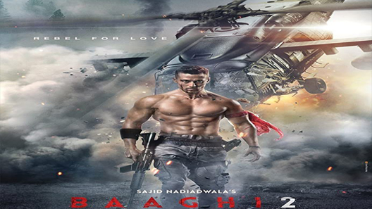 فيلم Baaghi 2 2018 مترجم