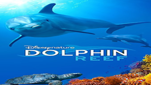 فيلم Dolphin Reef 2020 مترجم