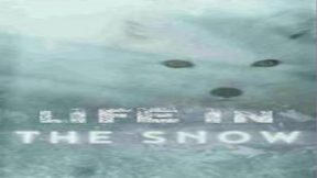 فيلم Life In The Snow 2016 مترجم