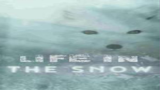 فيلم Life In The Snow 2016 مترجم