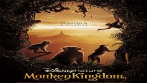 فيلم Monkey Kingdom 2015 مترجم