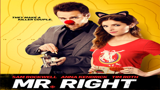 فيلم Mr Right 2015 مترجم
