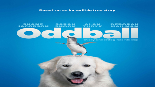 فيلم Oddball And The Penguins 2015 مترجم