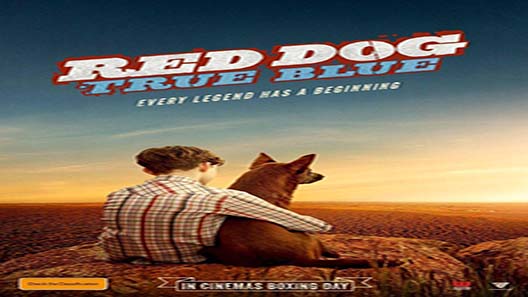 فيلم Red Dog True Blue 2016 مترجم