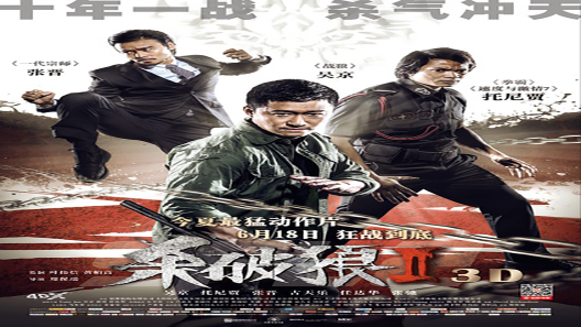 فيلم SPL 2 A Time For Consequences 2015 مترجم