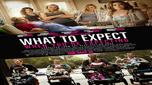 فيلم What To Expect When Youre Expecting 2012 مترجم