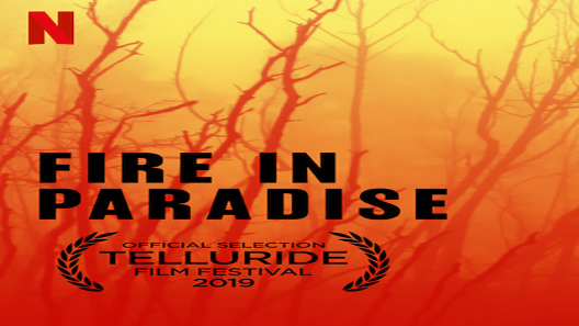 فيلم Fire In Paradise 2019 مترجم