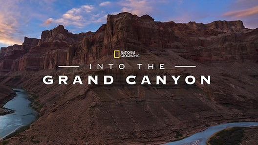 فيلم Into The Canyon 2019 مترجم
