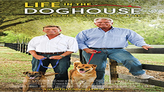 فيلم Life In The Doghouse 2018 مترجم