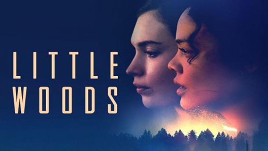 فيلم Little Woods 2018 مترجم